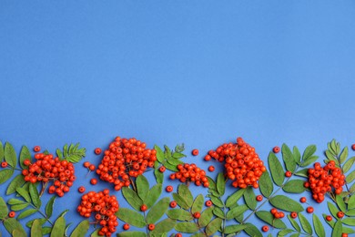 Photo of Fresh ripe rowan berries and green leaves on blue background, flat lay. Space for text