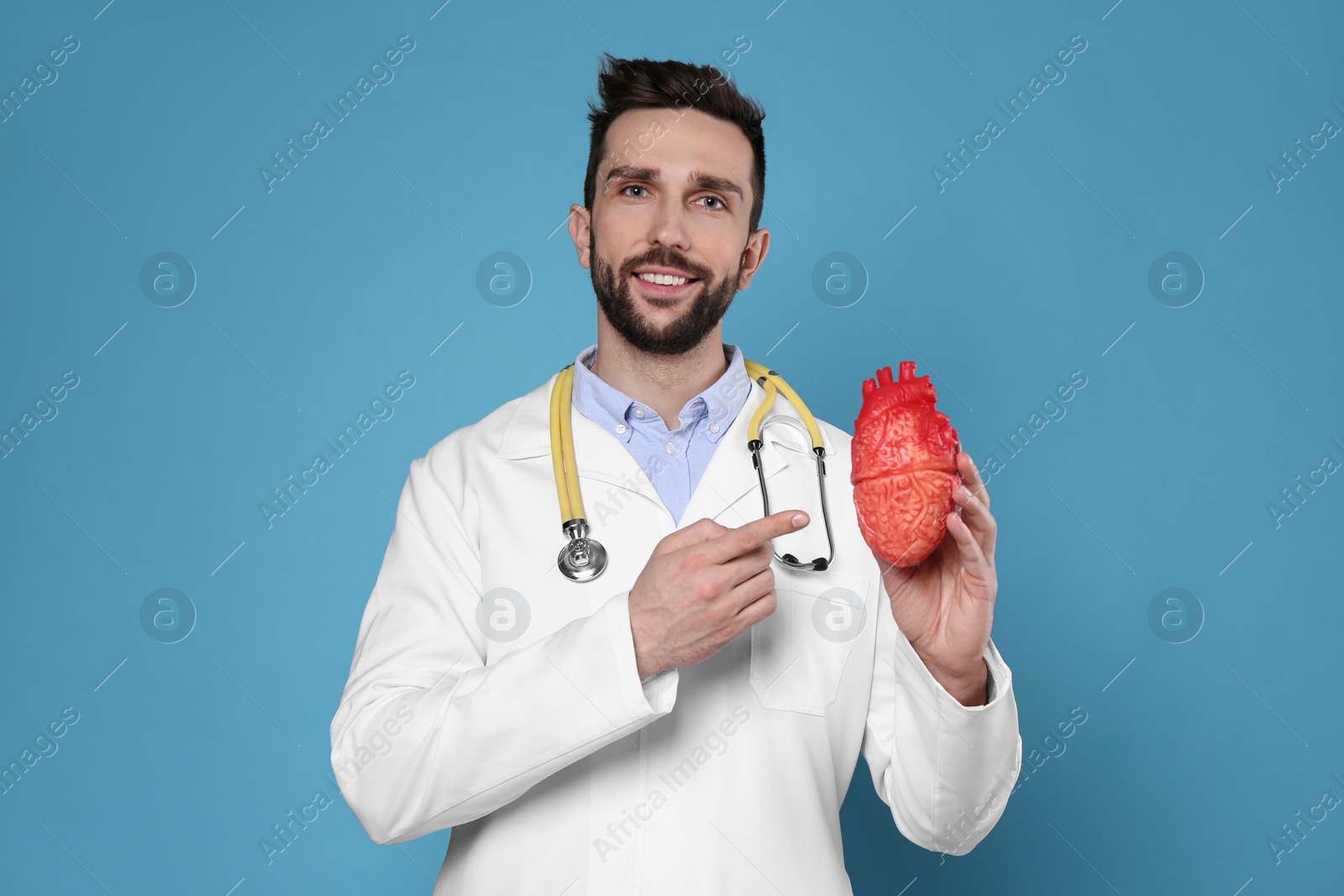 Photo of Doctor with stethoscope and model of heart on light blue background. Cardiology concept