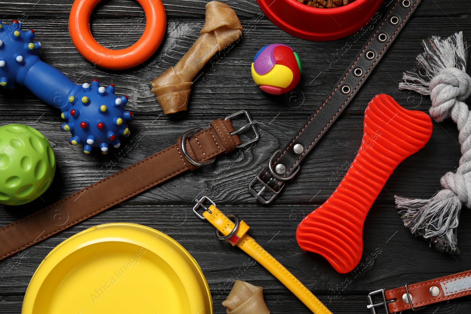 Photo of Flat lay composition with dog collars, toys and bowl on black wooden table