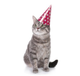 Image of Gray tabby cat with party hat on white background