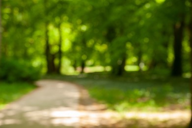 Blurred view of pathway in park on sunny day