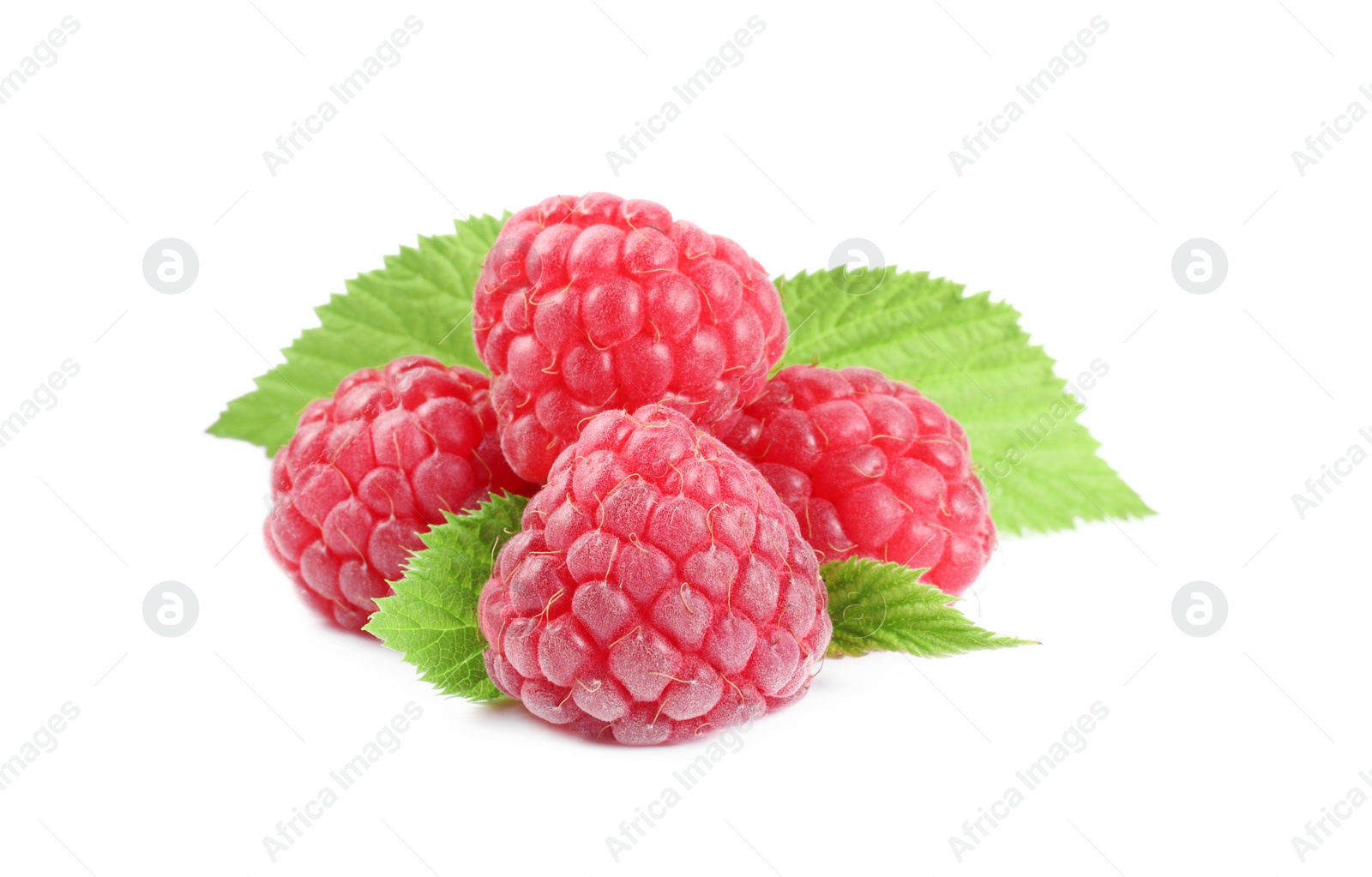 Photo of Many fresh ripe raspberries and green leaves isolated on white