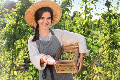 Photo of Woman holding white beans and wooden crate in garden