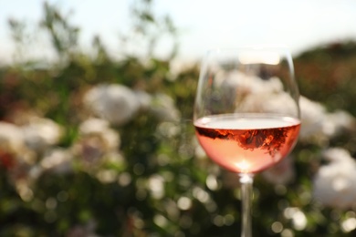 Glass of rose wine outdoors, space for text