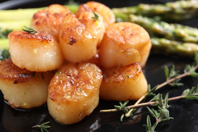 Photo of Delicious fried scallops with asparagus and thyme on plate, closeup