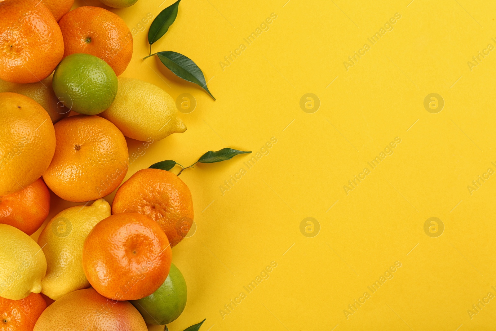 Photo of Flat lay composition with tangerines and different citrus fruits on yellow background. Space for text