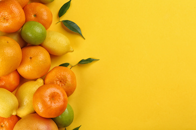 Flat lay composition with tangerines and different citrus fruits on yellow background. Space for text