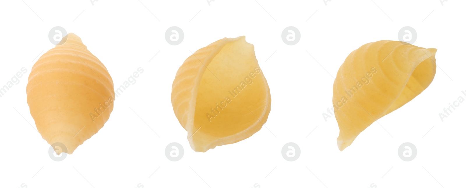 Image of Raw conchiglie pasta isolated on white, set