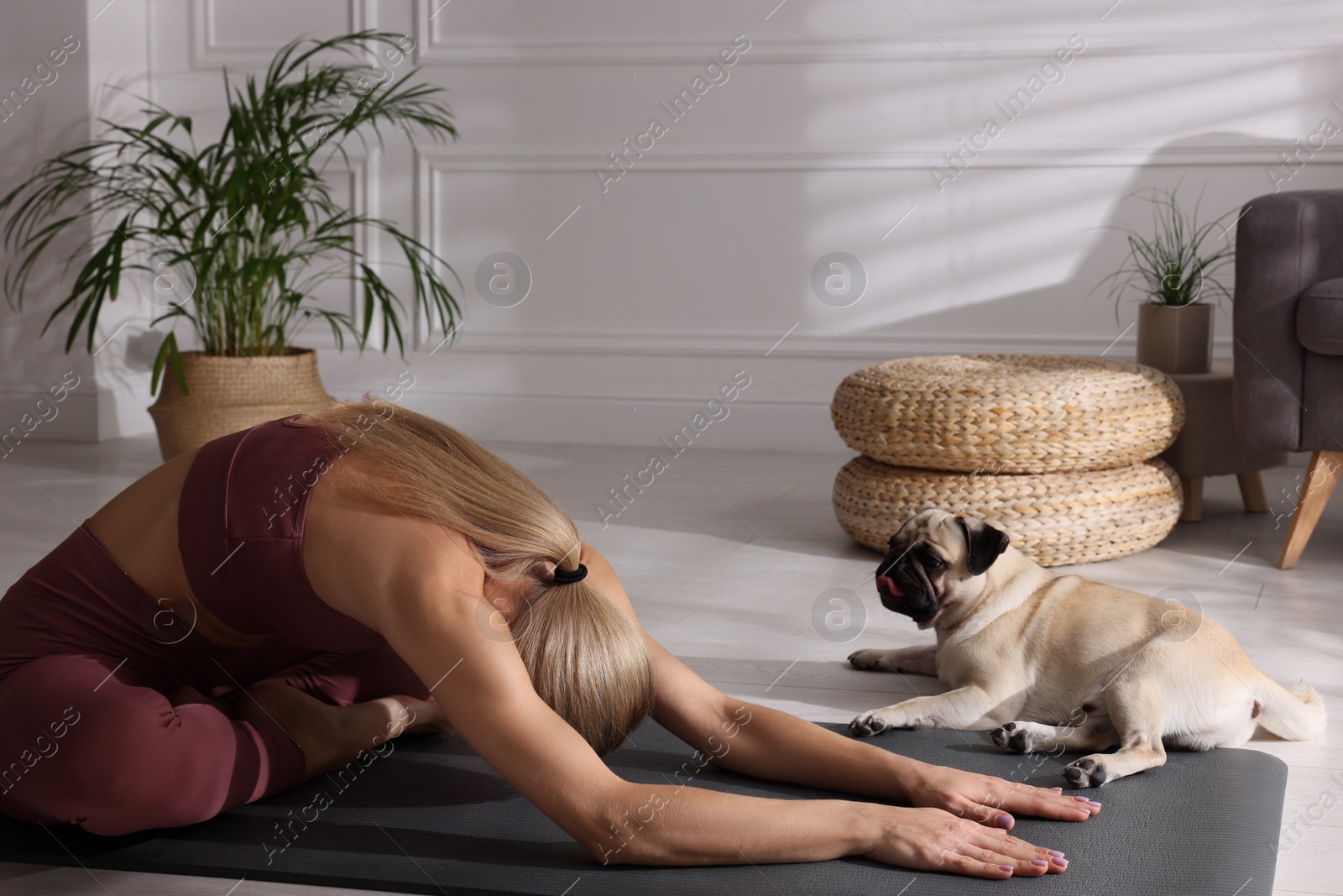 Photo of Woman with dog practicing yoga at home