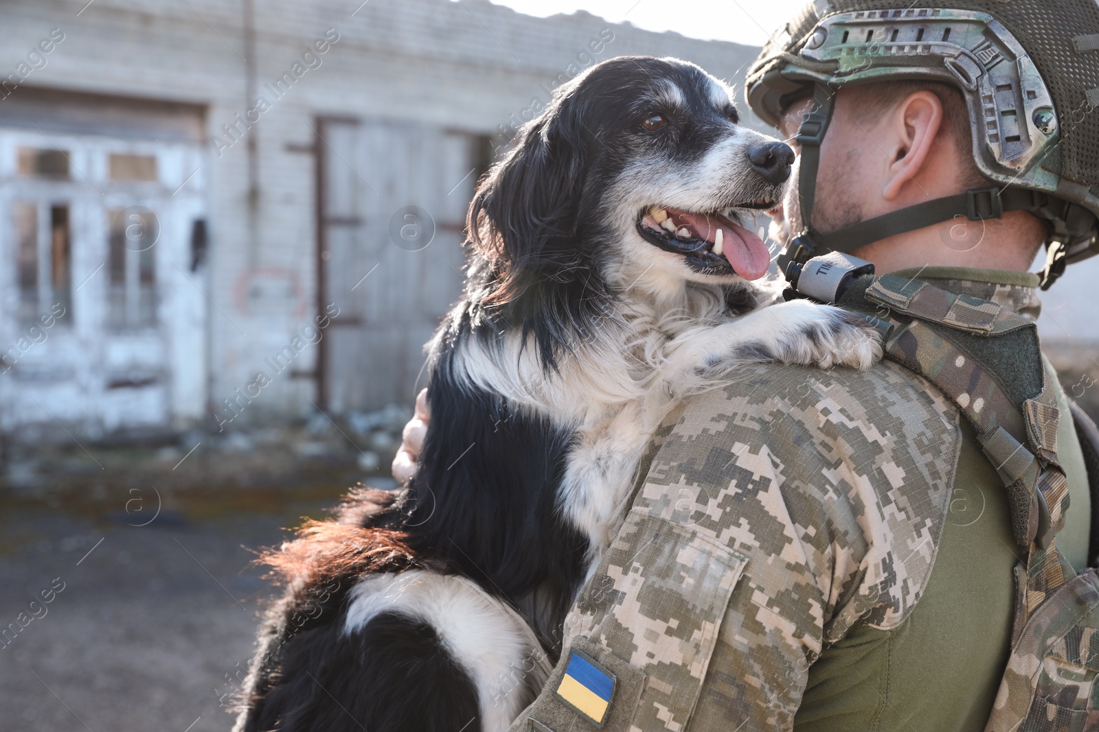 Photo of Ukrainian soldier rescuing stray dog outdoors, back view. Space for text