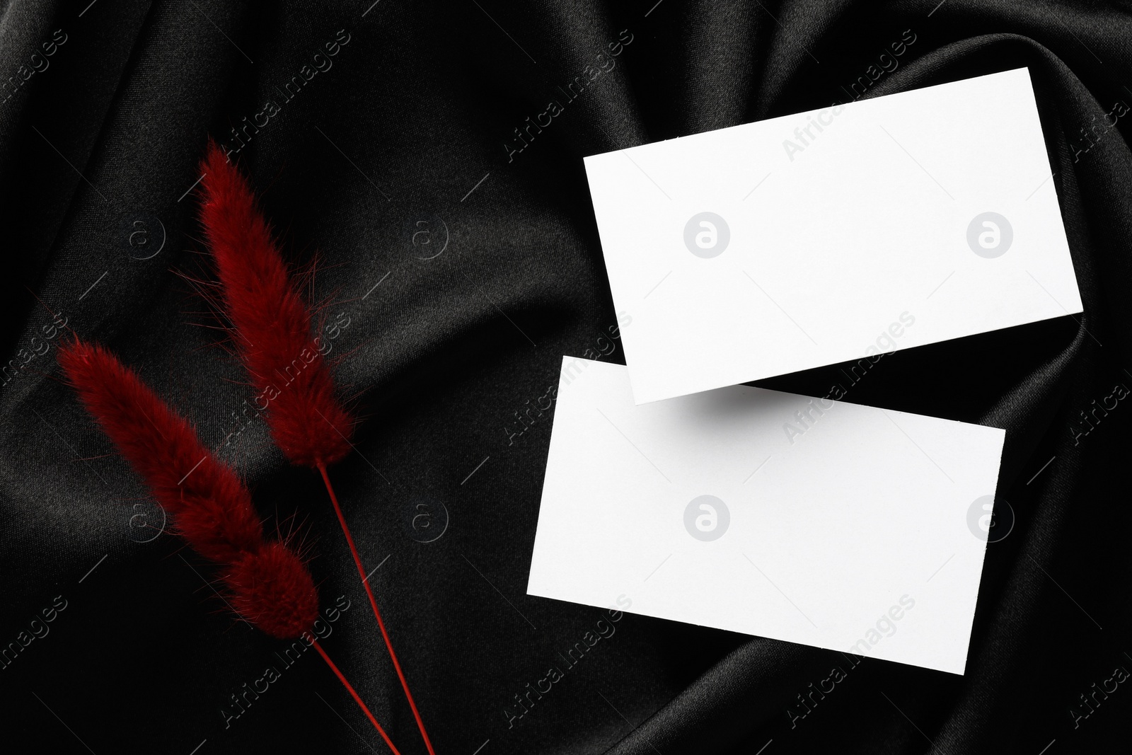Photo of Blank business cards and lagurus branches on black fabric, flat lay. Mockup for design