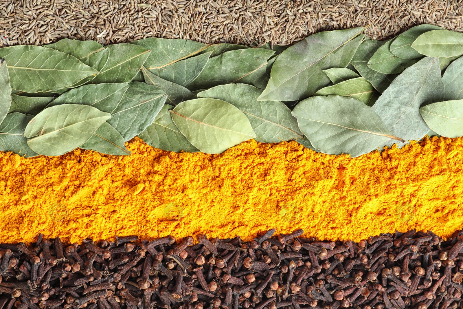 Photo of Set of different spices as background, top view