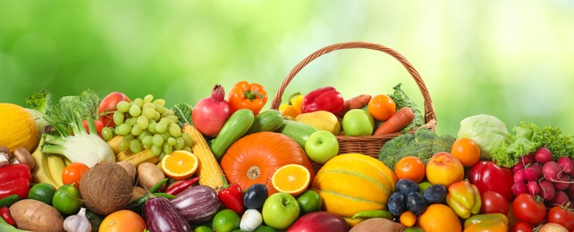 Image of Assortment of fresh organic vegetables and fruits on blurred green background. Banner design 