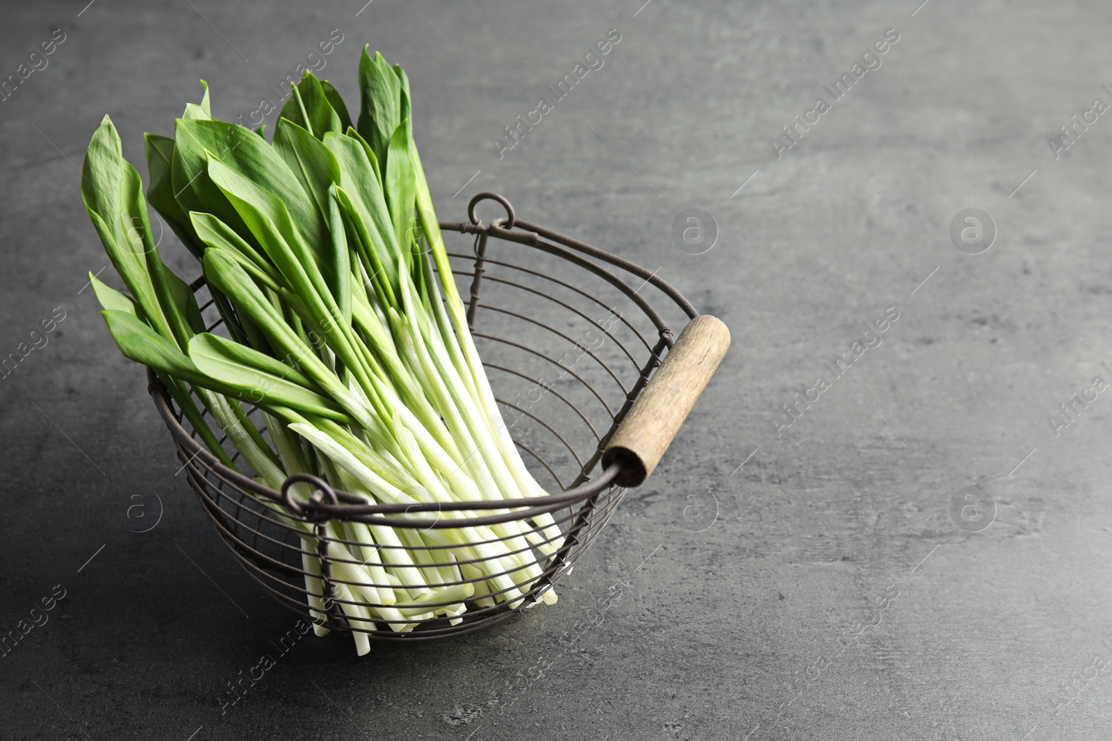 Photo of Basket with wild garlic or ramson on grey table. Space for text