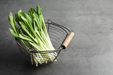 Basket with wild garlic or ramson on grey table. Space for text