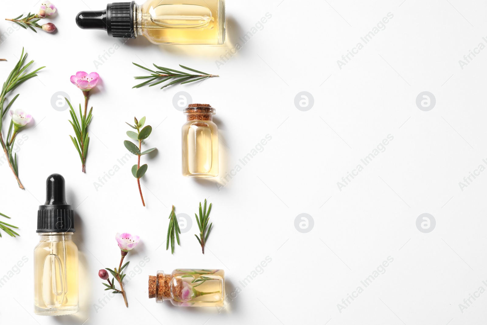 Photo of Flat lay composition with bottles of natural tea tree oil on white background