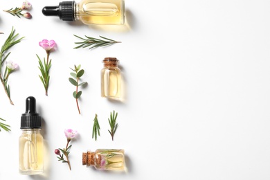 Flat lay composition with bottles of natural tea tree oil on white background