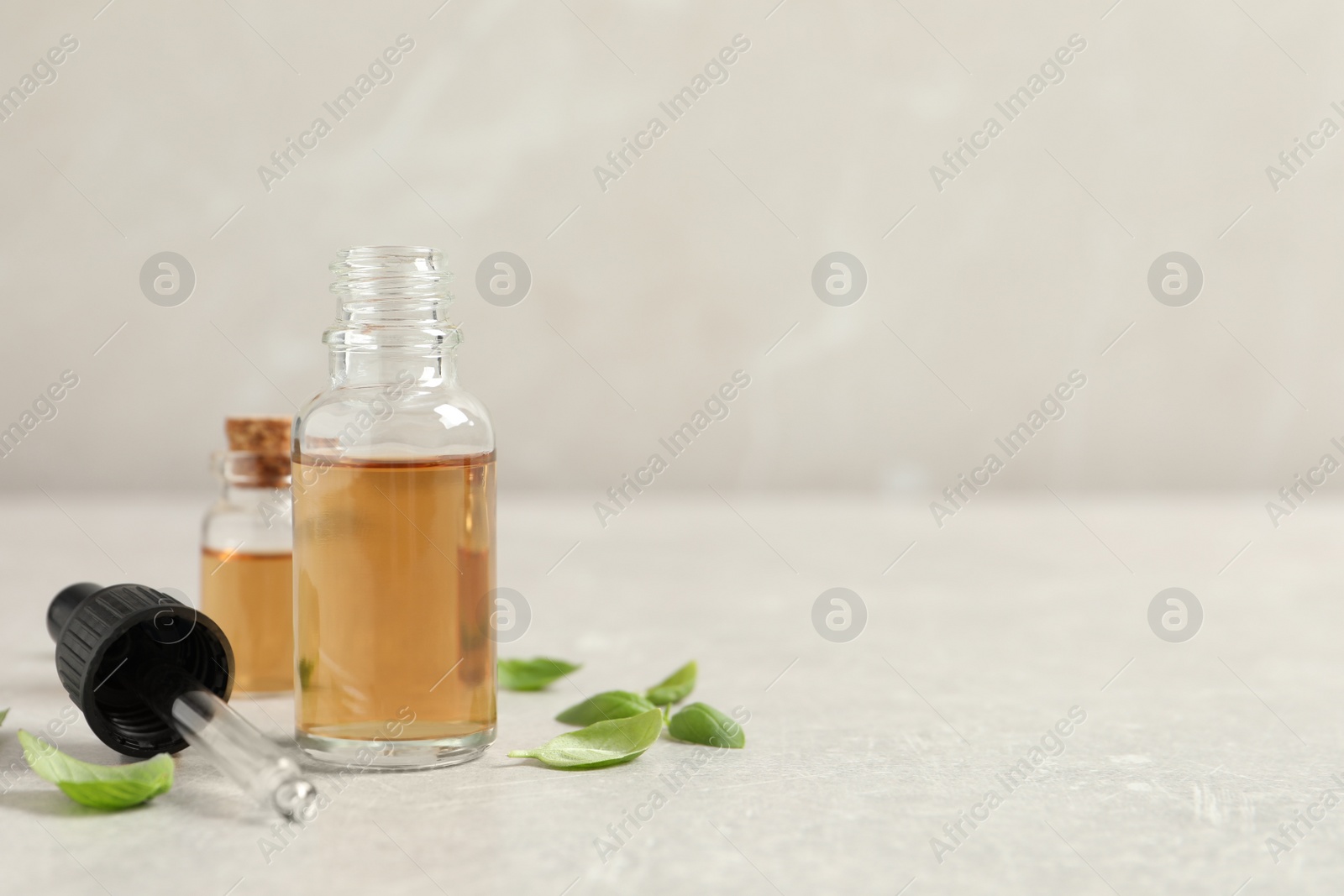 Photo of Bottles of essential basil oil and fresh leaves on light grey table, space for text