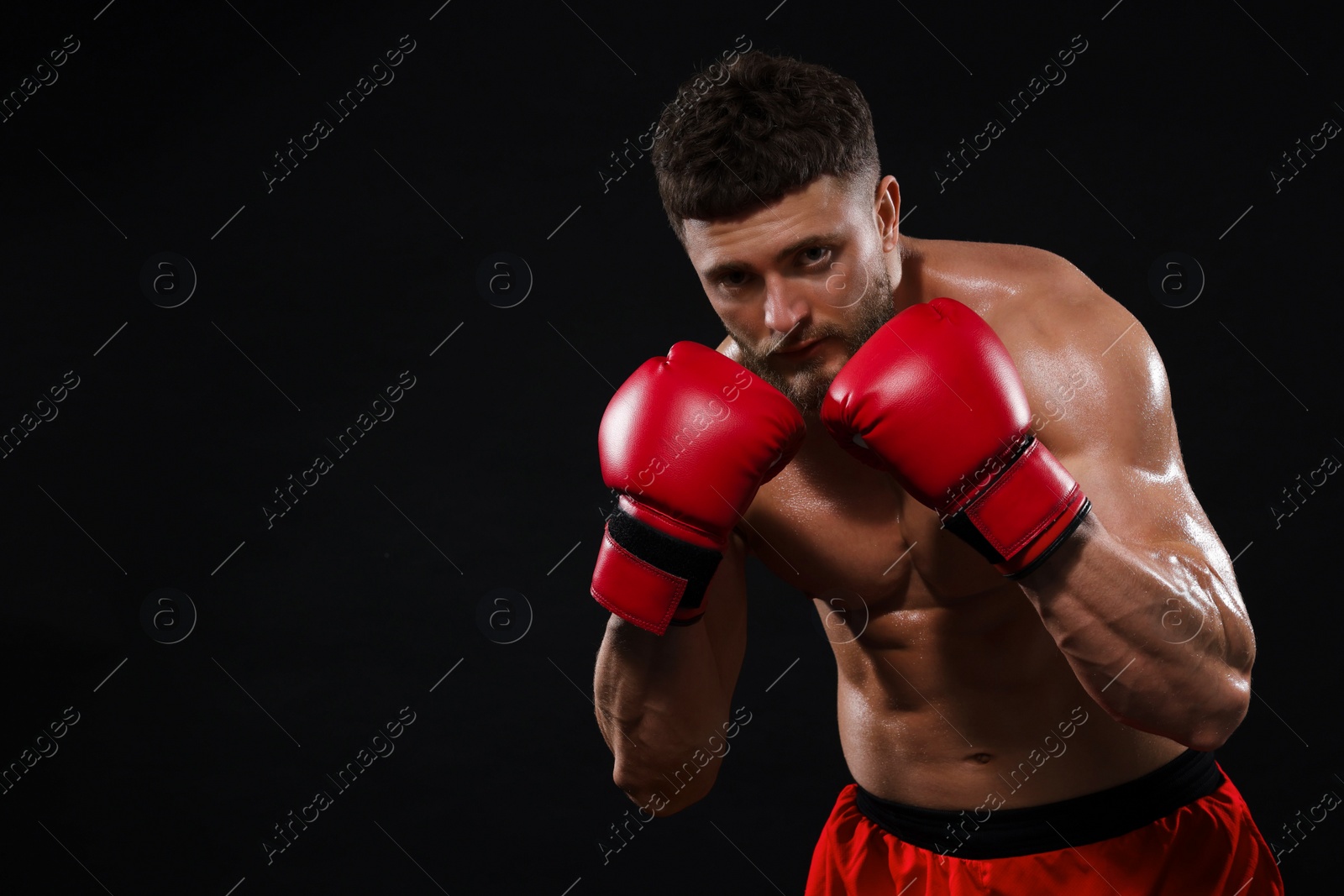 Photo of Man in boxing gloves on black background. Space for text