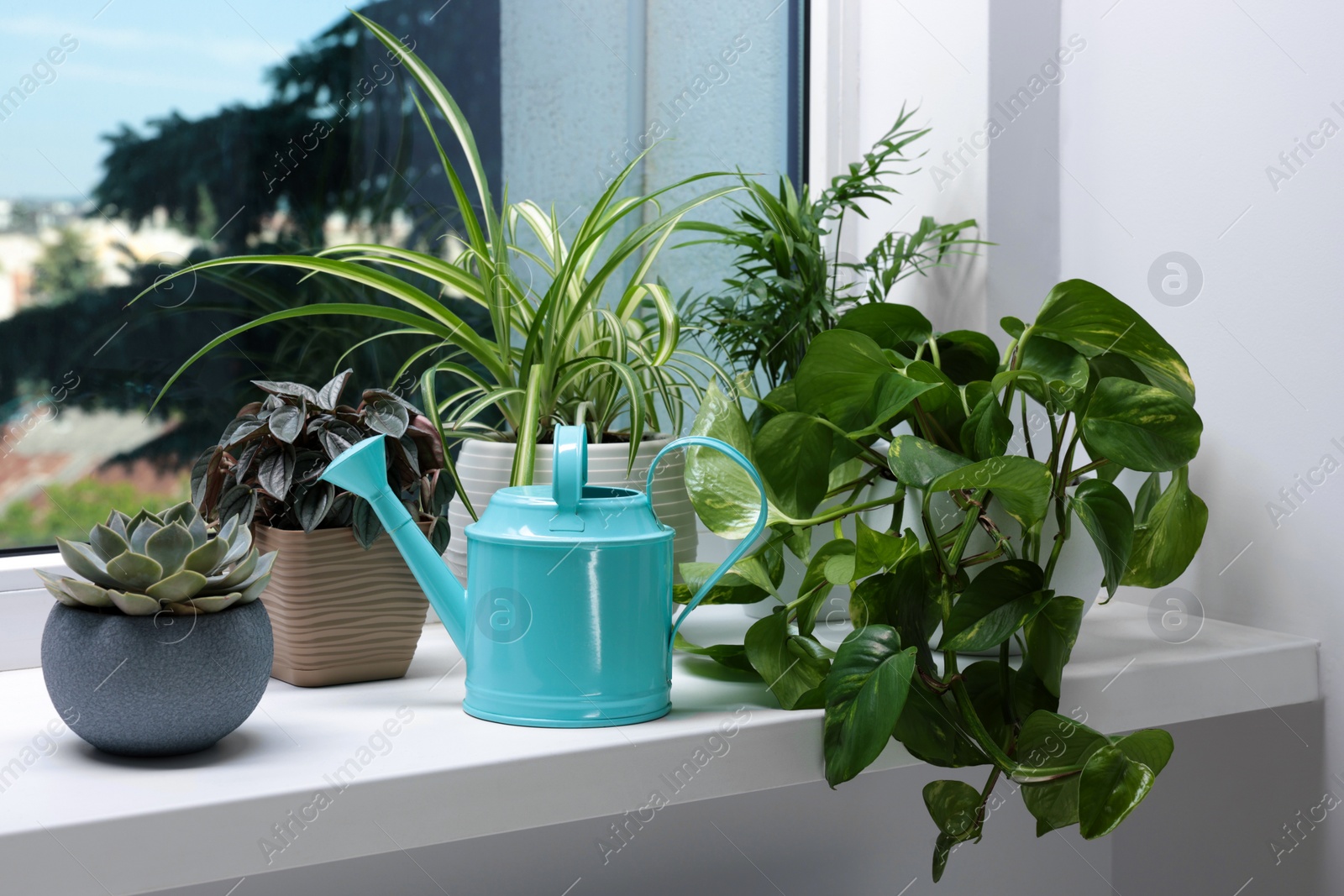 Photo of Different beautiful houseplants and light blue metal watering can on window sill indoors