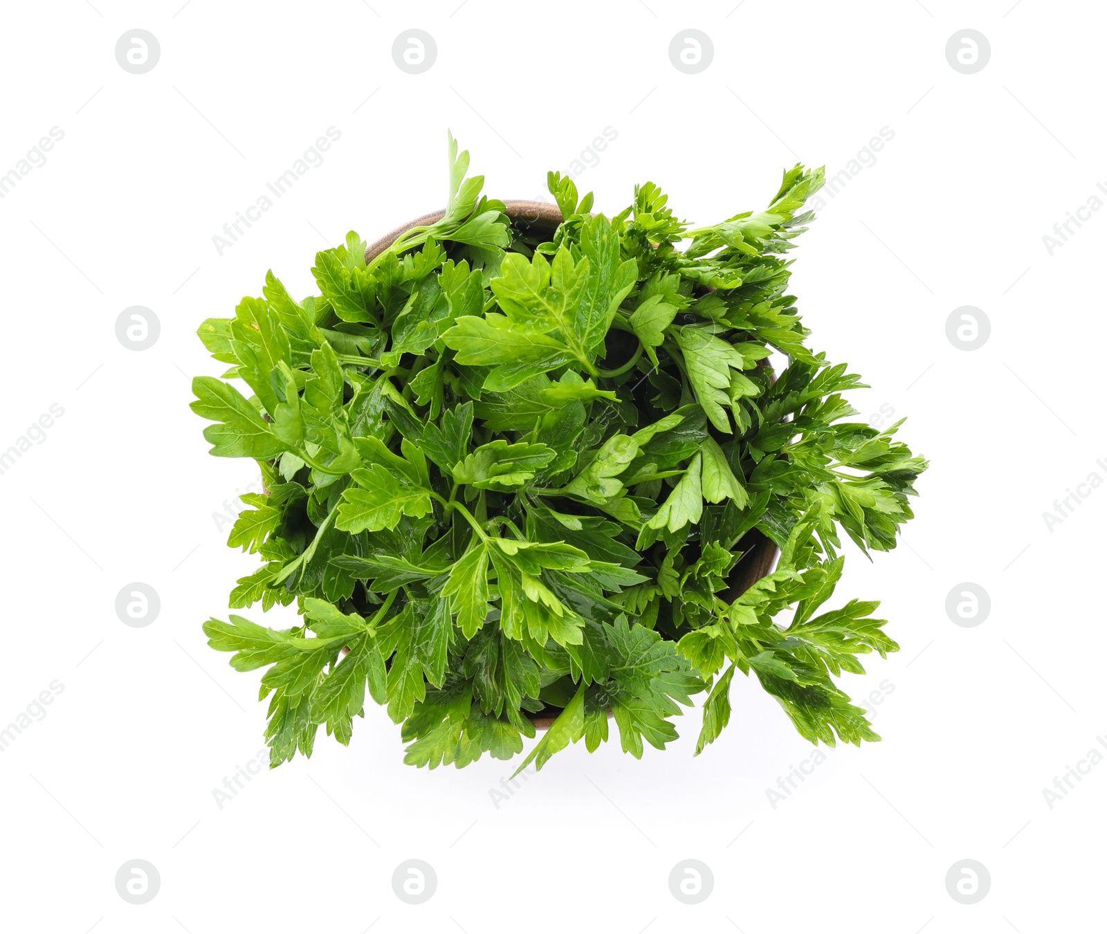 Photo of Bowl with fresh green parsley on white background, top view