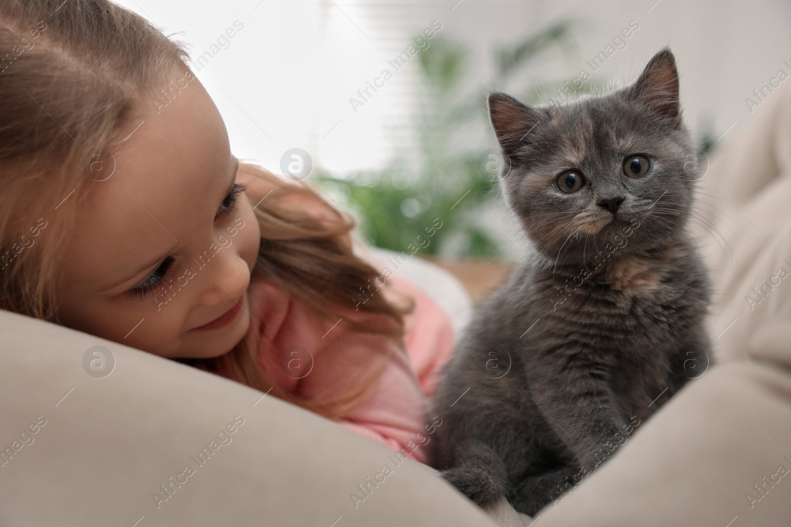 Photo of Cute little girl with kitten on sofa at home, closeup. Childhood pet