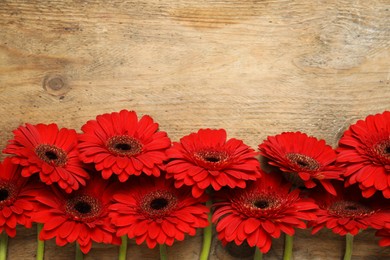 Photo of Beautiful bright gerbera flowers on wooden background, flat lay. Space for text