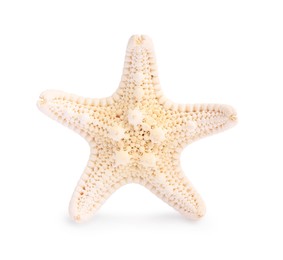 Photo of Beautiful sea star (starfish) isolated on white