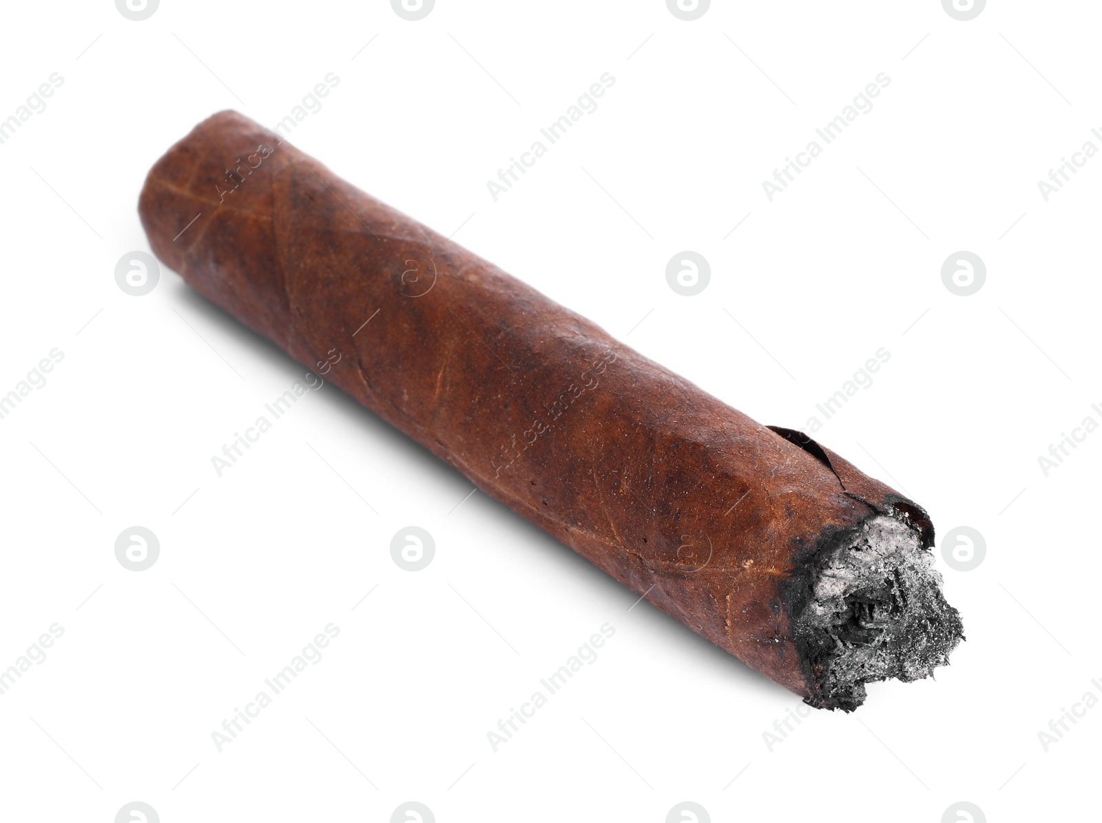 Photo of One burnt expensive cigar isolated on white