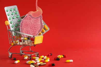 Photo of Shopping cart with paper intestine cutout and pills on red background. Space for text