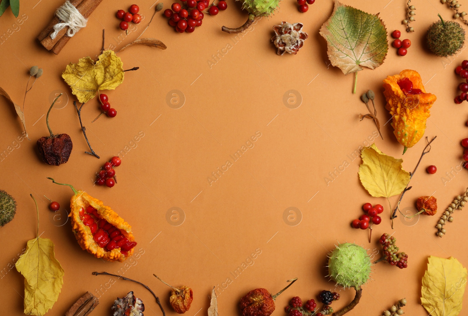 Photo of Dried flowers, leaves and berries arranged in shape of wreath on brown background, flat lay with space for text. Autumnal aesthetic