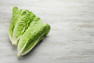 Photo of Fresh green romaine lettuces on white wooden table, above view. Space for text