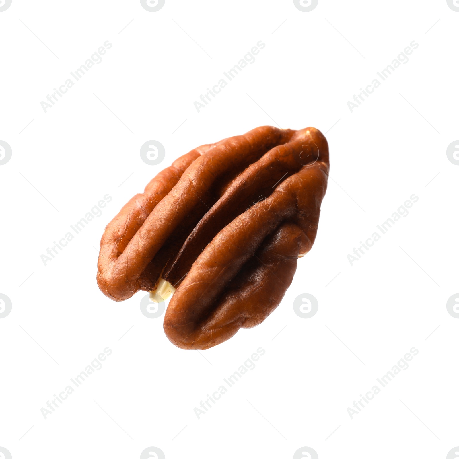 Photo of One tasty pecan nut isolated on white