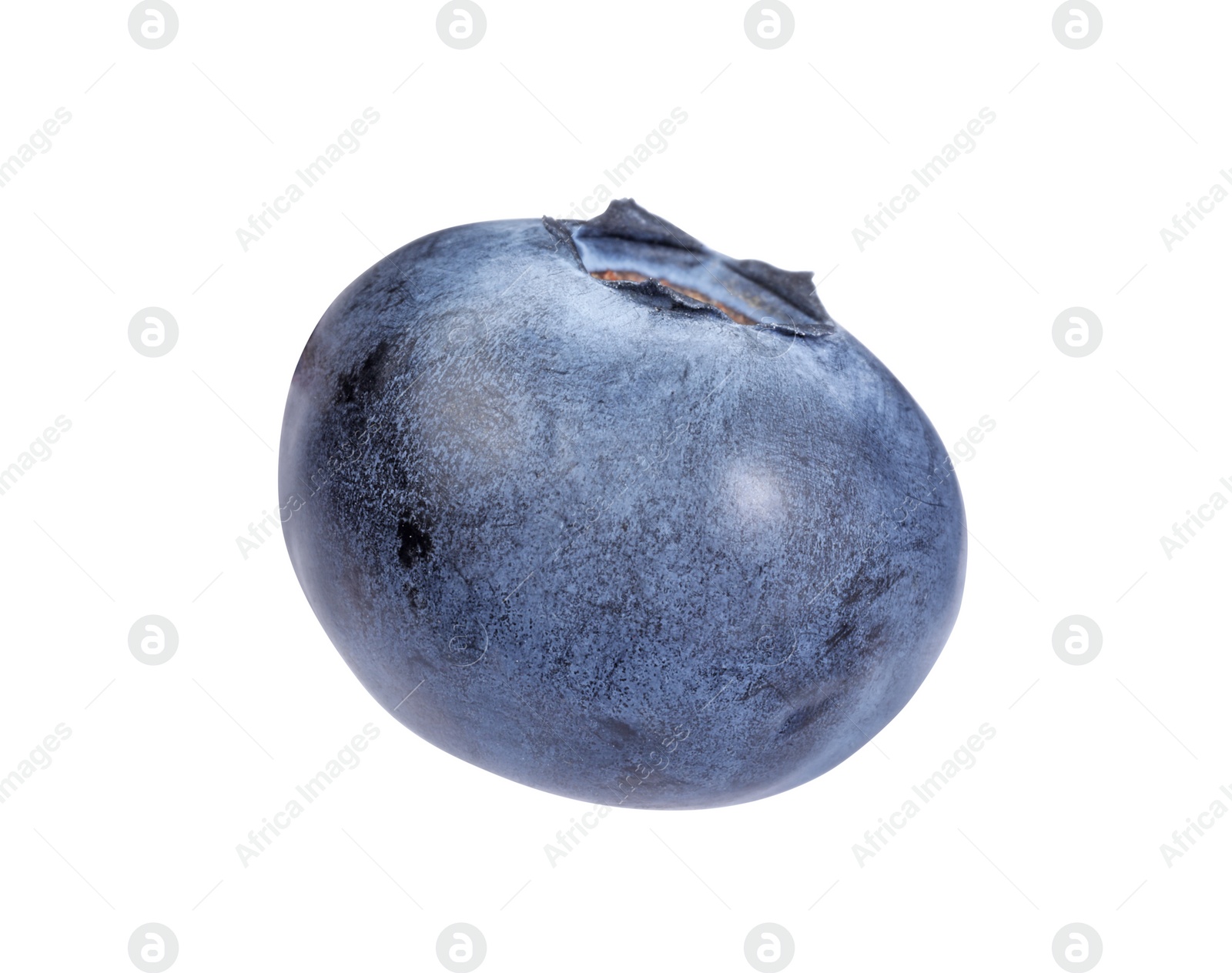 Photo of One fresh ripe blueberry isolated on white