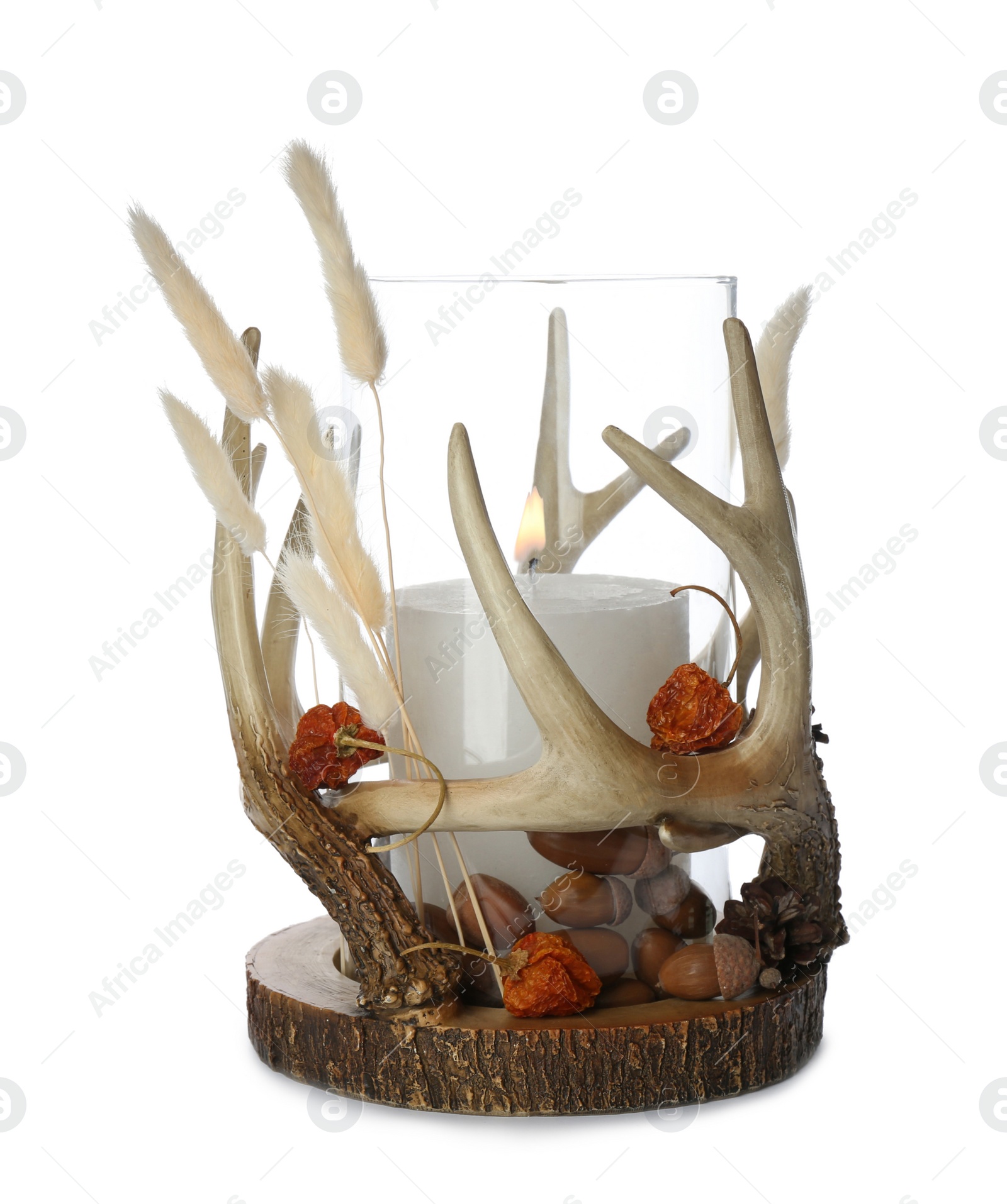 Photo of Burning candle and autumn decor in stylish holder isolated on white