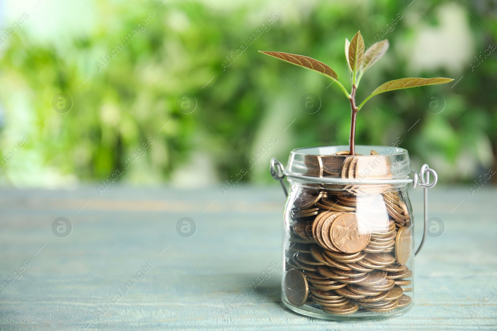 Photo of Glass jar with coins and green plant on light blue wooden table