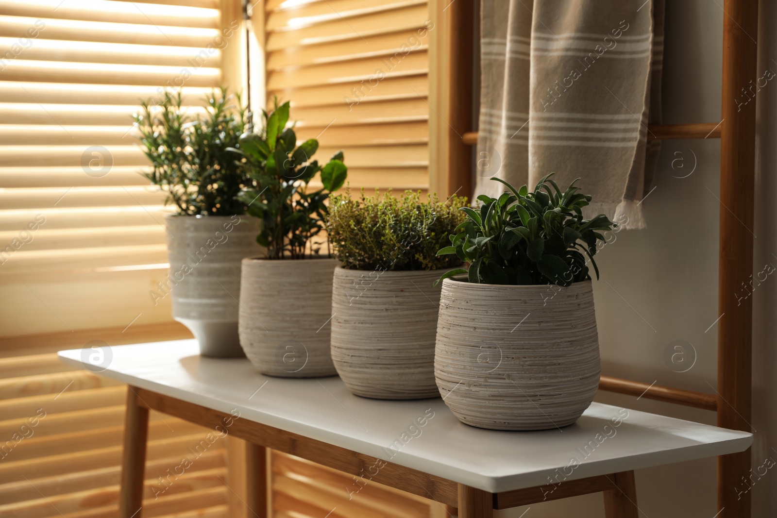 Photo of Different potted herbs on wooden table indoors