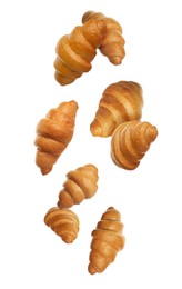 Image of Crusty golden croissants falling on white background