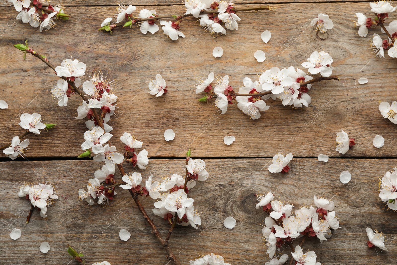 Photo of Flat lay composition with beautiful fresh spring flowers on wooden background