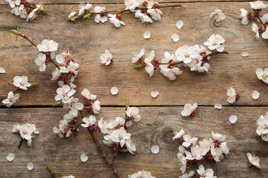 Flat lay composition with beautiful fresh spring flowers on wooden background