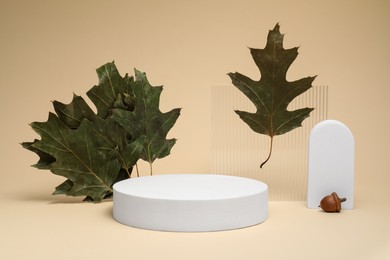 Photo of Autumn presentation for product. Geometric figures, dry leaves and acorn on beige background
