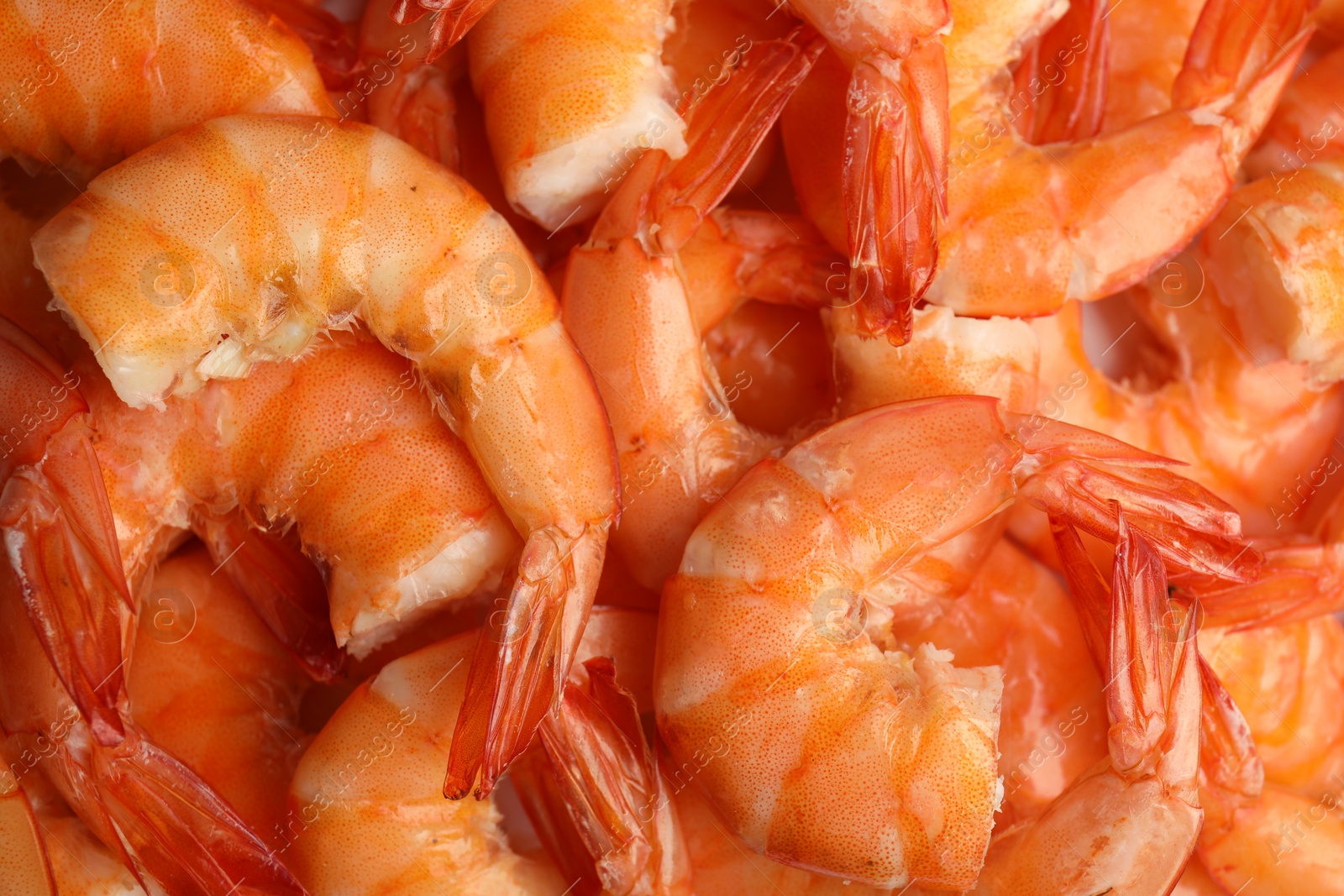 Photo of Pile of delicious cooked shrimps as background, closeup