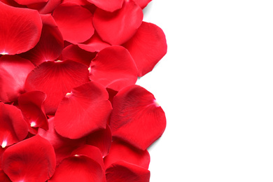 Pile of red rose petals on white background, top view