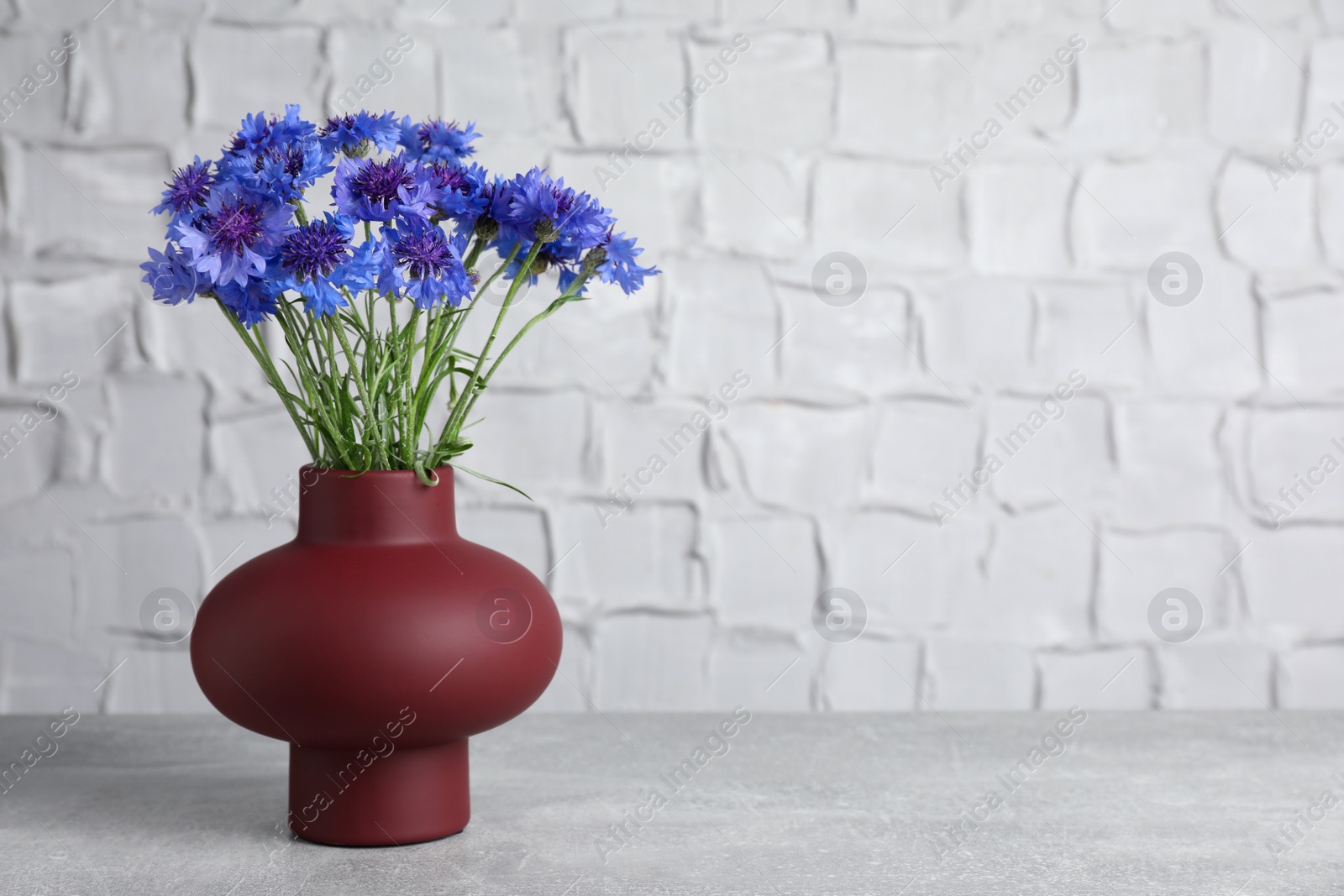 Photo of Bouquet of beautiful cornflowers in vase on light table. Space for text