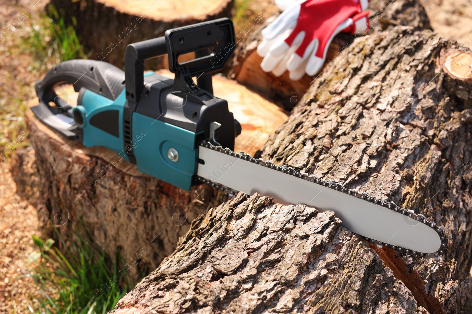 Photo of Modern electric saw and wooden log outdoors