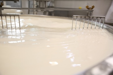 Milk in curd preparation tank at cheese factory, closeup