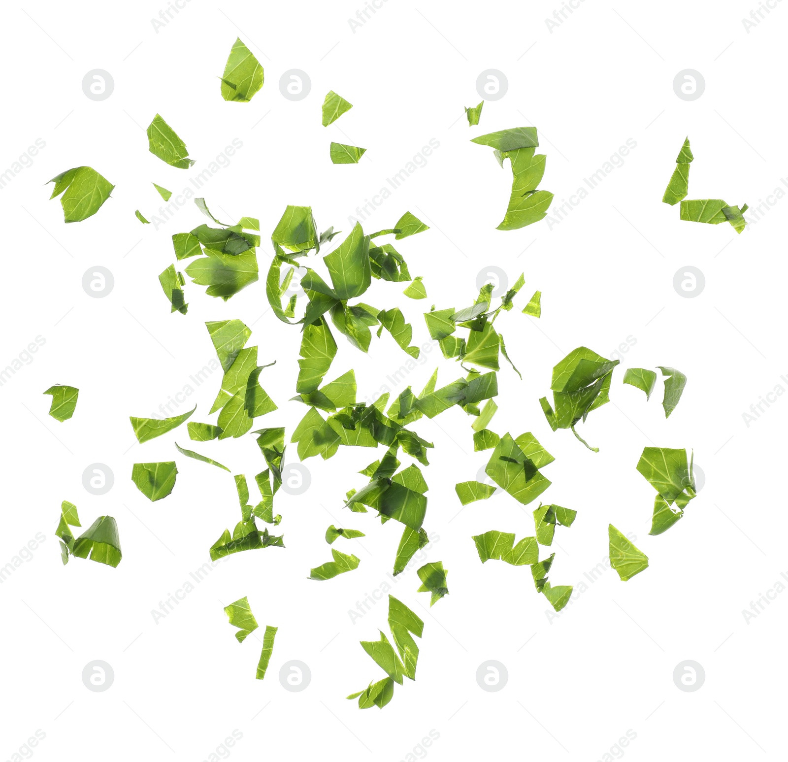 Photo of Cut fresh green parsley on white background