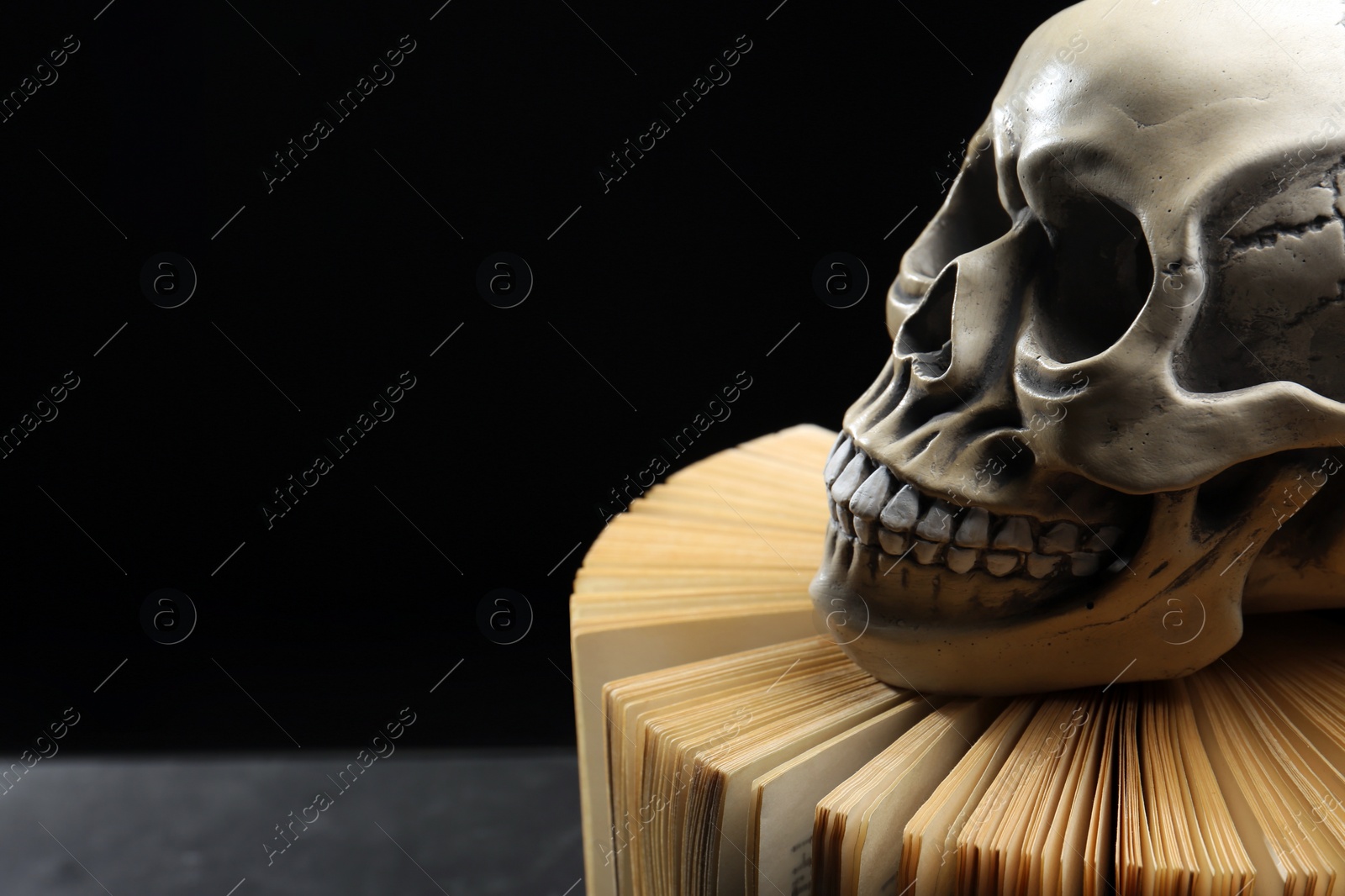 Photo of Human skull and old book against black background. Space for text