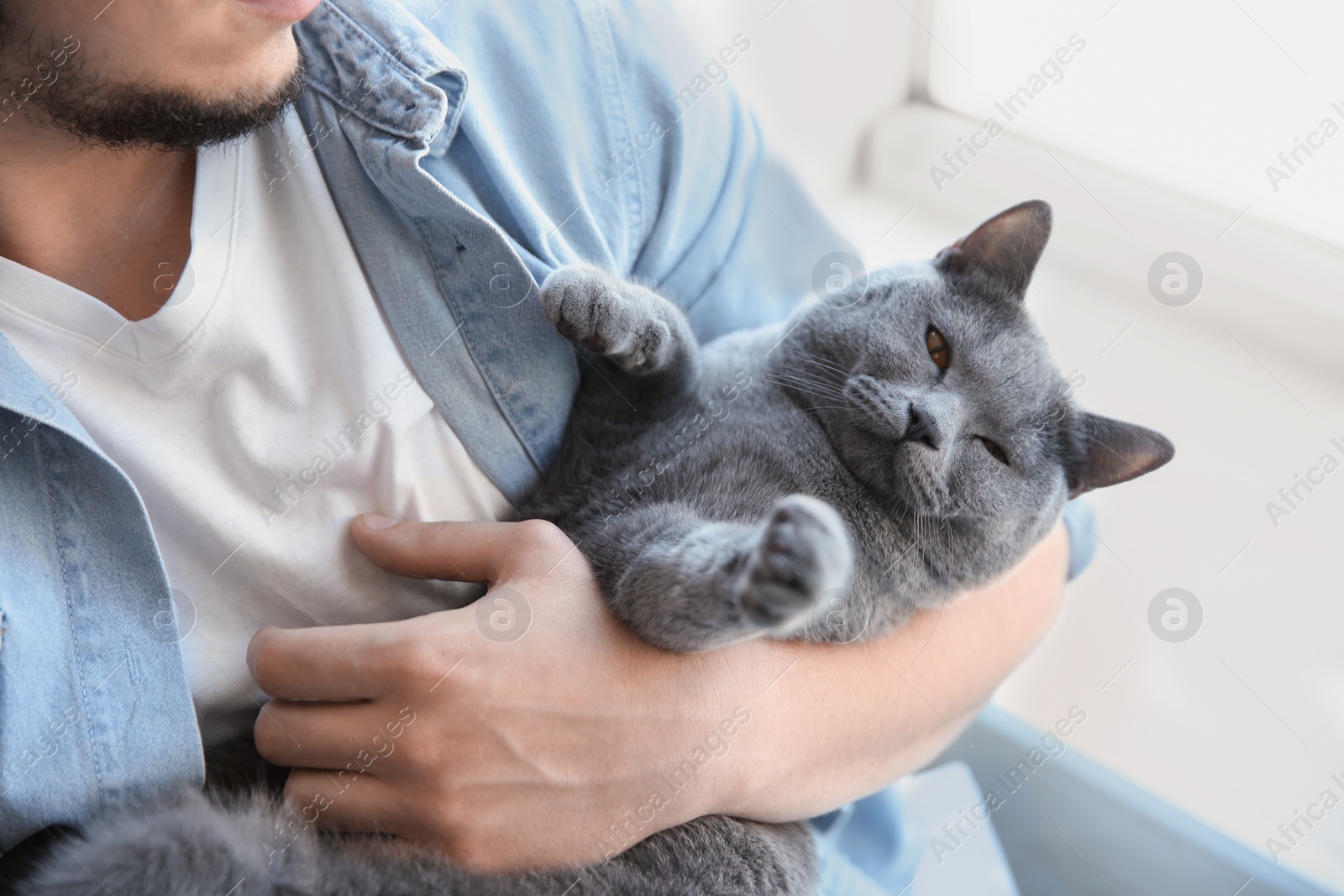 Photo of Man with cute cat indoors, closeup view