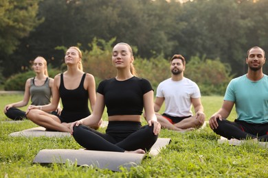 Group of people practicing yoga on mats outdoors. Lotus pose